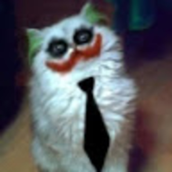 Meet your Posher, Dante - Picture 1 of 1